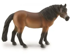 Exmoor Pony