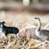 Farm Blind Bags | Individual Blind Bag