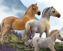 Fjord Stallion | Brown Dun