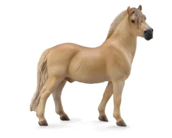 Fjord Stallion | Brown Dun