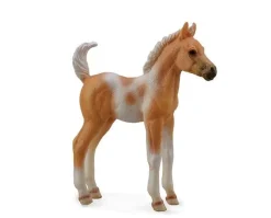 Foal | Palomino Pinto