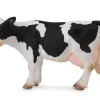 Friesian Cow