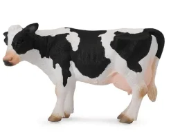 Friesian Cow