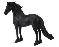 Friesian Stallion