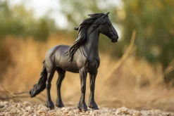 Friesian Stallion