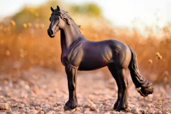 Friesian Stallion