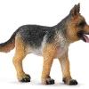 German Shepherd Puppy