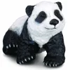 Giant Panda Cub