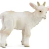 Goat Kid