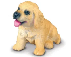 Golden Retriever Puppy