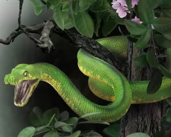 Green Tree Python
