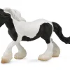 Gypsy Vanner Mare | Black & White Piebald