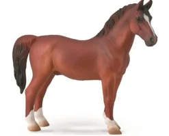 Hackney Stallion | Chestnut