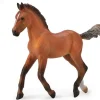 Hanoverian Foal | Bay