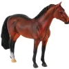 Hanoverian Stallion | Bay