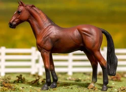 Hanoverian Stallion | Bay