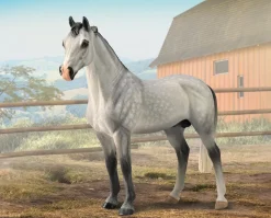 Hanoverian Stallion | Grey