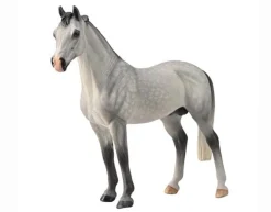 Hanoverian Stallion | Grey