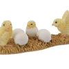Hatching Chicks