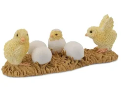 Hatching Chicks