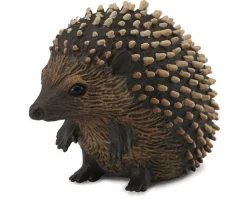 Hedgehog