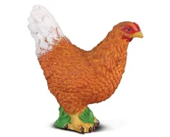Hen