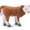 Hereford Calf - Standing