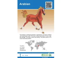 Horse Blind Bag with AR Feature - Individual Bag