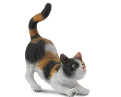 House Cat