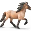 Icelandic Stallion | Dun