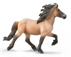 Icelandic Stallion | Dun