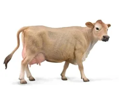 Jersey Cow