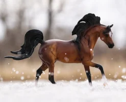 King of the Wind and Freedom Series Arabian | Book & Horse Set