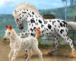 Knabstrupper Mare | Black Leopard