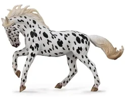 Knabstrupper Mare | Black Leopard