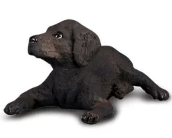 Labrador Retriever Puppy