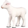 Lamb