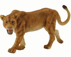 Lioness