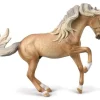 Lusitano Stallion | Sooty Palomino