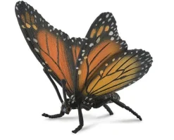 Monarch Butterfly