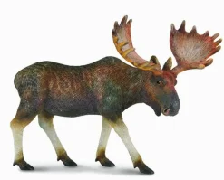 Moose