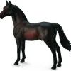 Morgan Stallion | Bay