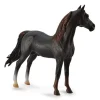 Morgan Stallion | Chestnut