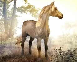 Morgan Stallion | Silver Grulla