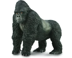 Mountain Gorilla