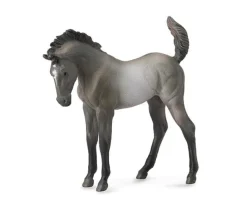 Mustang Foal | Grulla