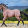 Mustang Mare | Bay Roan