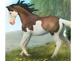 Mustang Mare | Bay Splash Overo