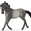 Mustang Mare | Grulla