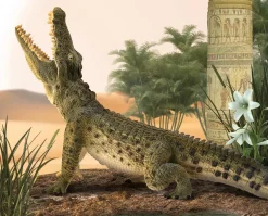 Nile Crocodile - Leaping